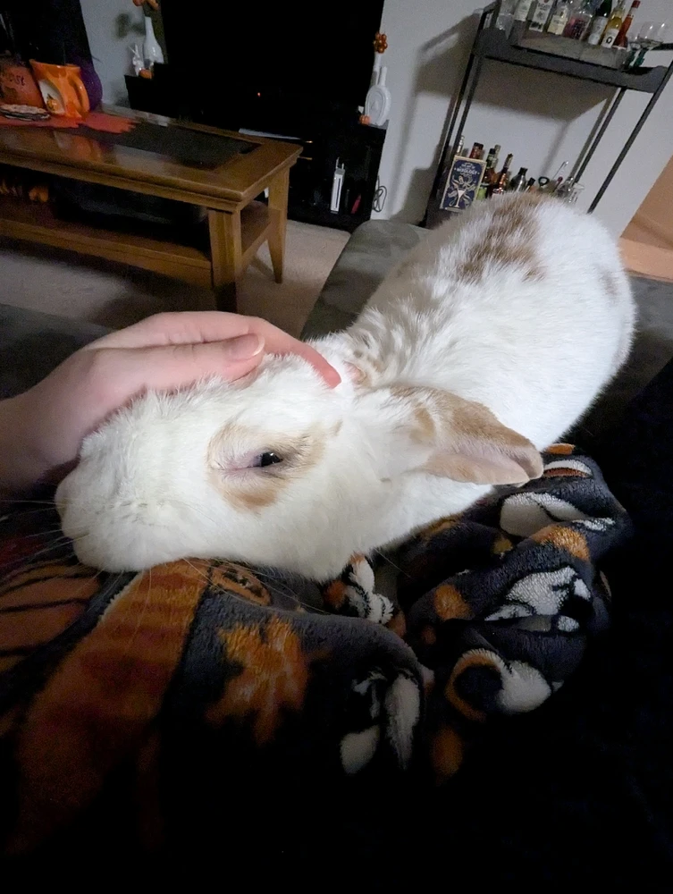 GIF diunggah dening Kaylin