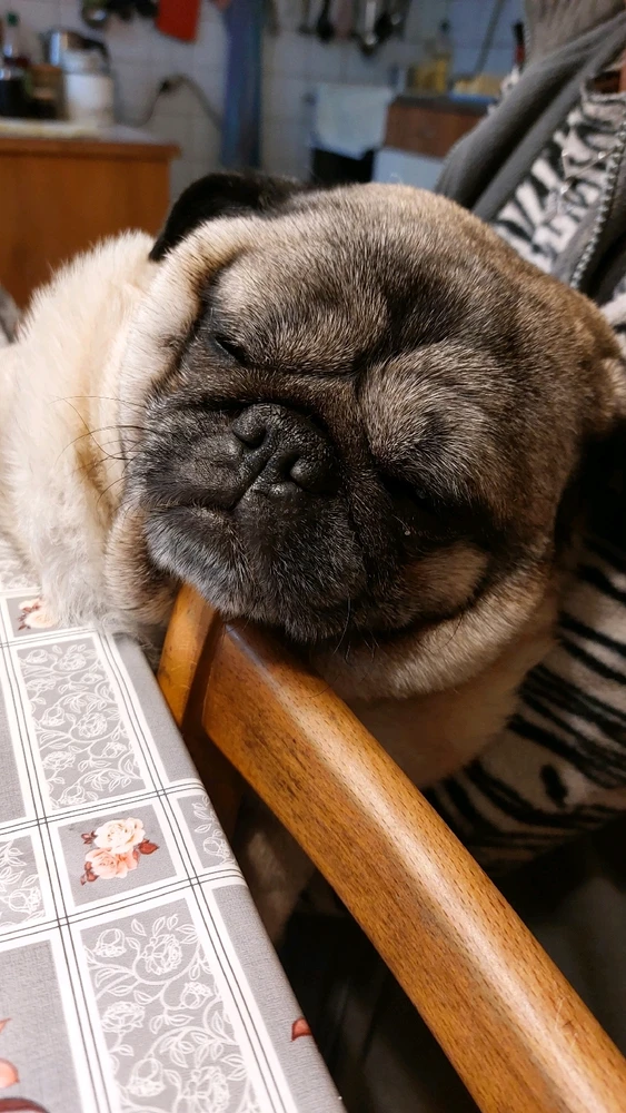 Obrázek nahrál Honza