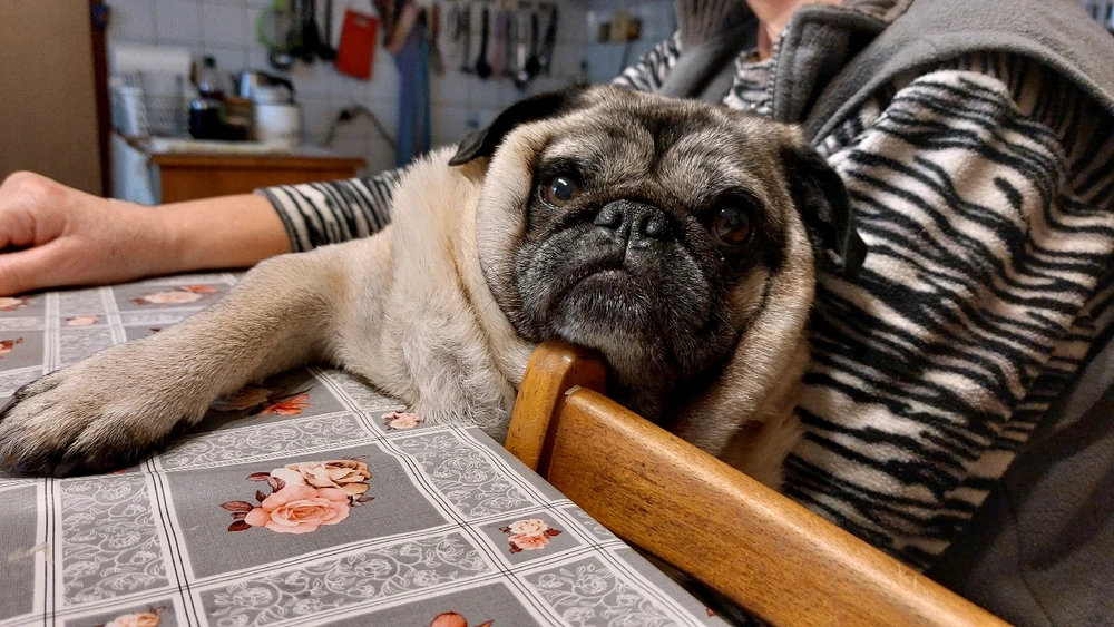 Obrázek nahrál Honza