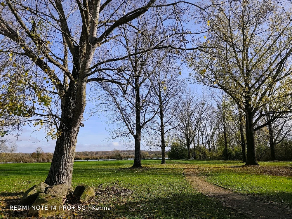 Image uploaded by Karina