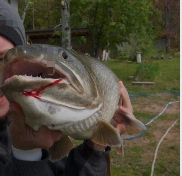 GIF uploaded by Catherine