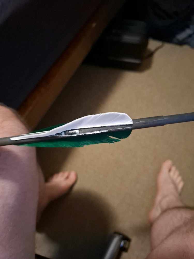 Image uploaded by Ryan