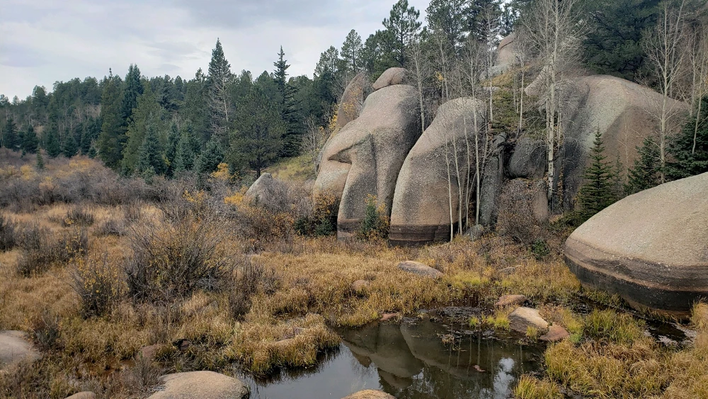 Gambar diunggah dening Tyler