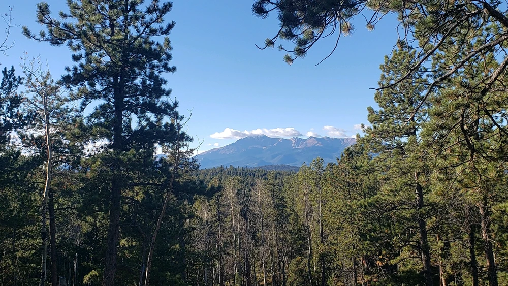 Gambar diunggah dening Tyler