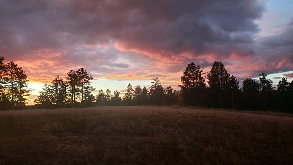 Gambar diunggah dening Tyler