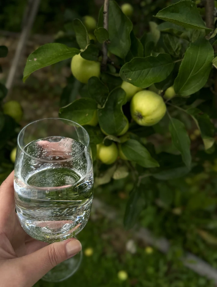 GIF загрузил Diana