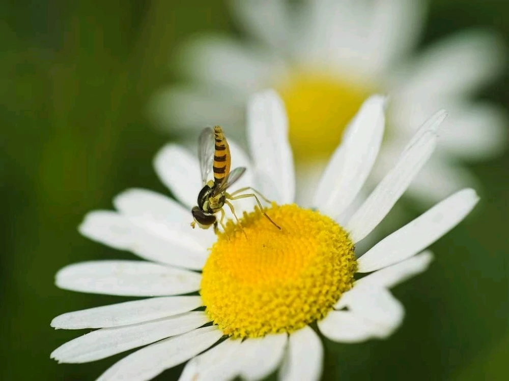 GIF uploaded by Alex