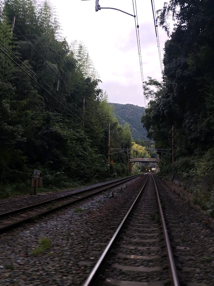 Bild hochgeladen von nick