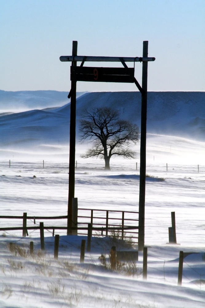 Image uploaded by Steven