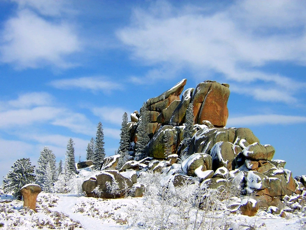 Image uploaded by Steven