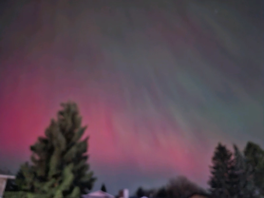 Image uploaded by Becca