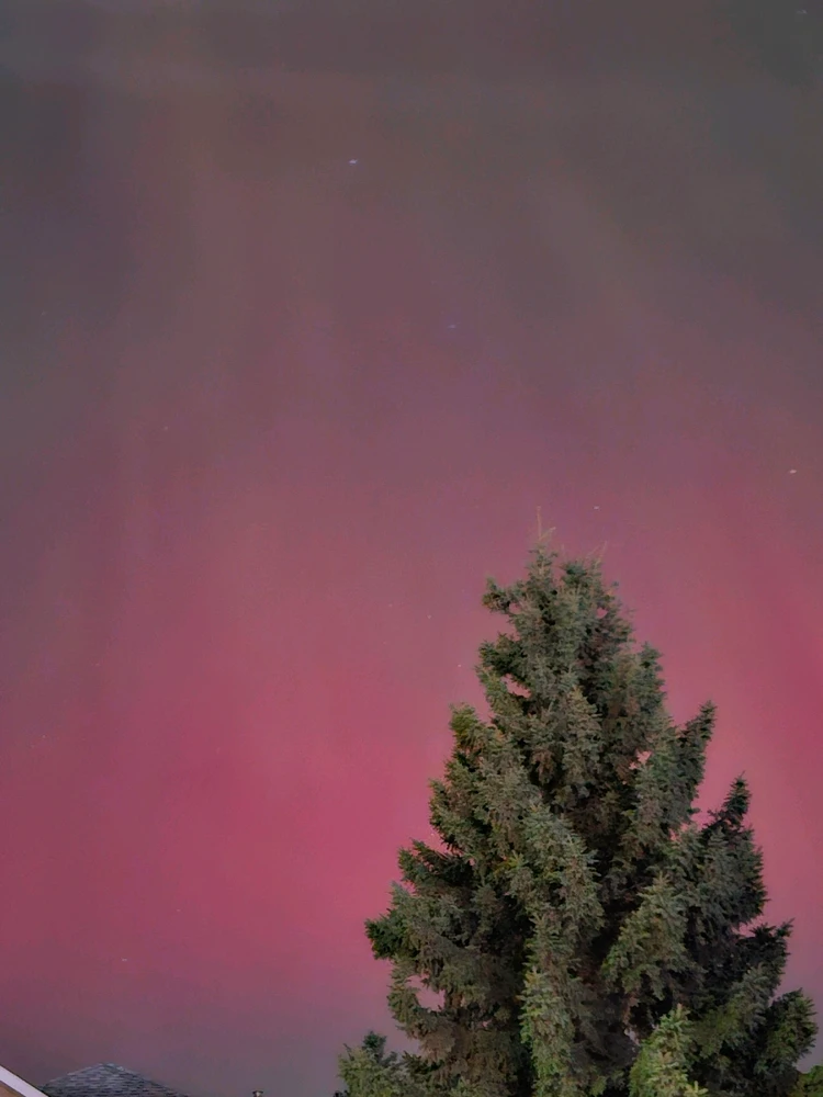 Image uploaded by Becca