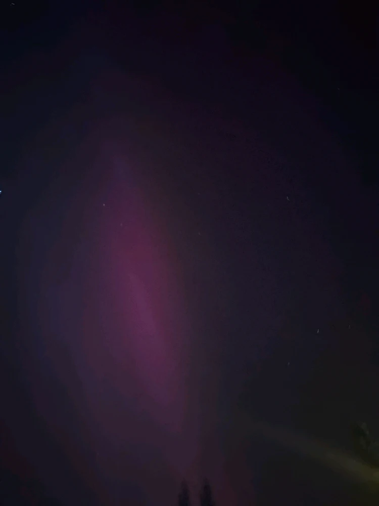 Image uploaded by Dakoda