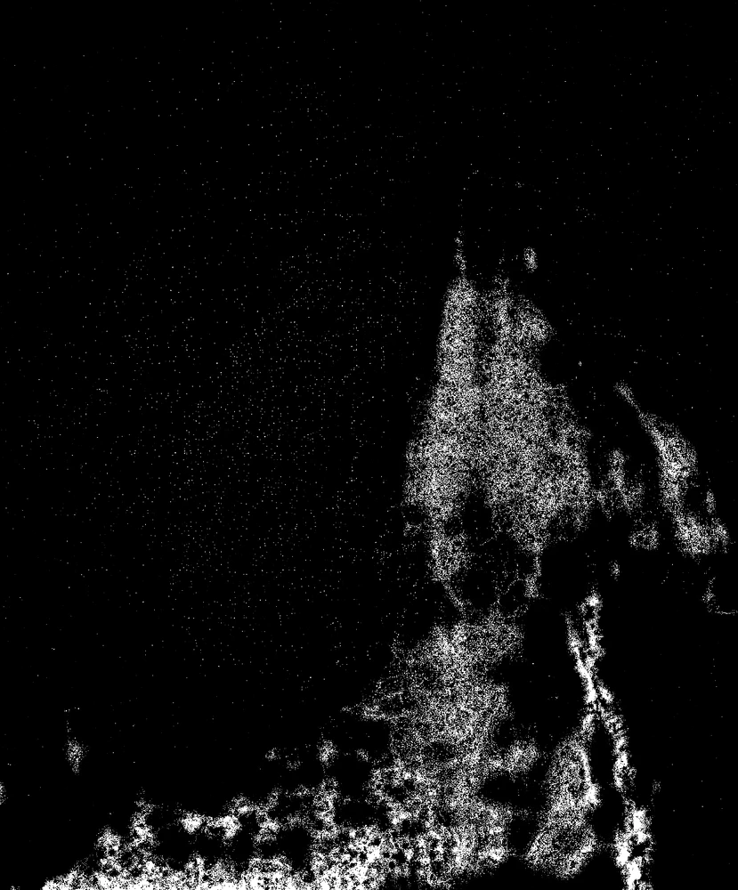 Image uploaded by Dakoda