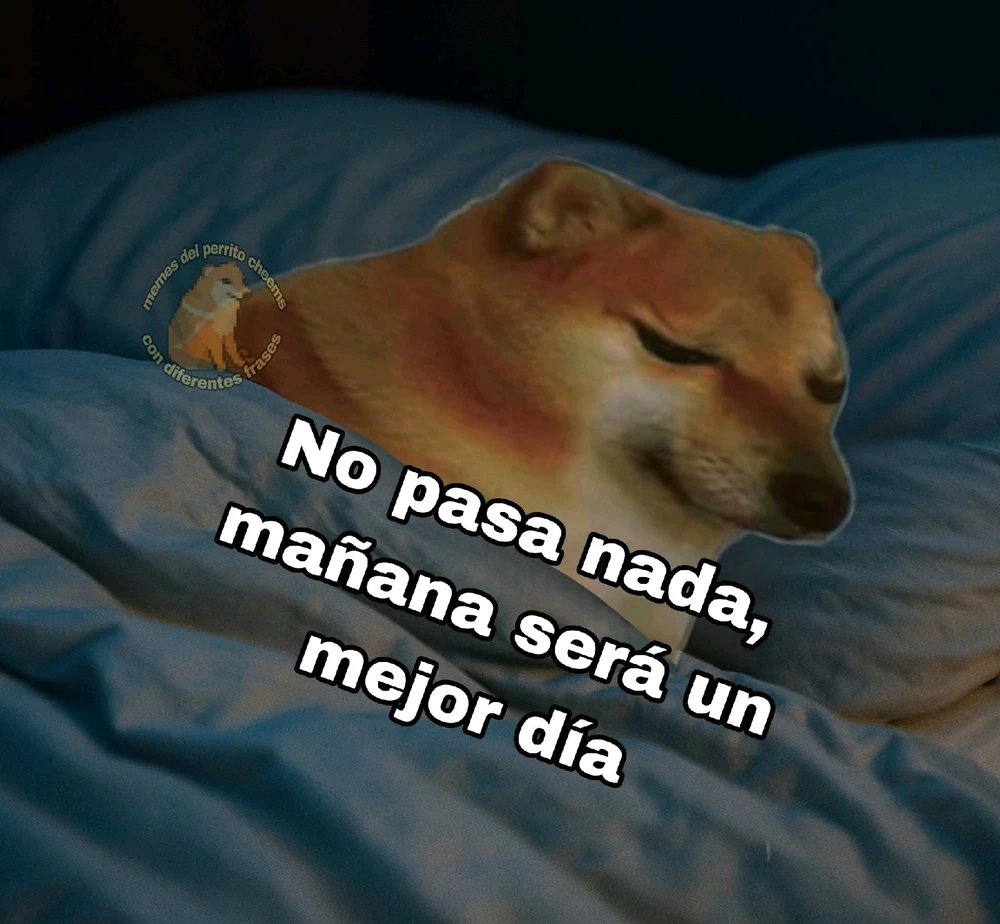 Buenas noches a tod@s