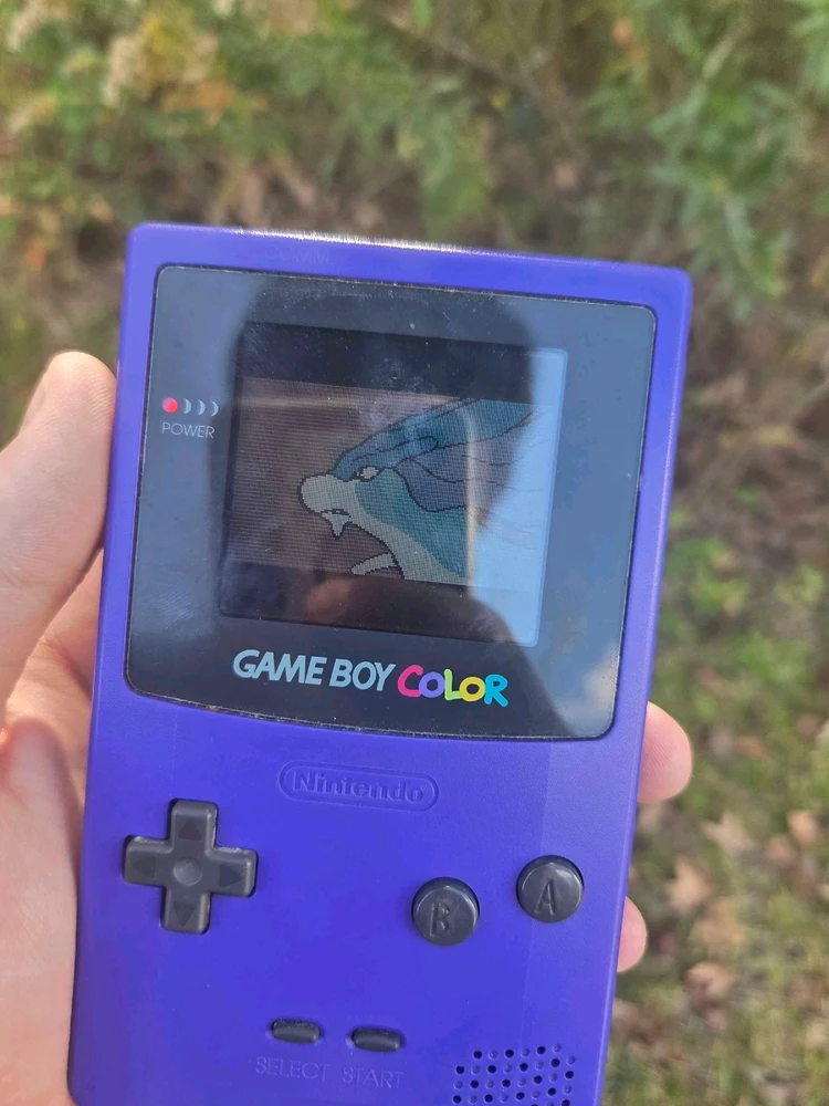 Found this bad boy for $40