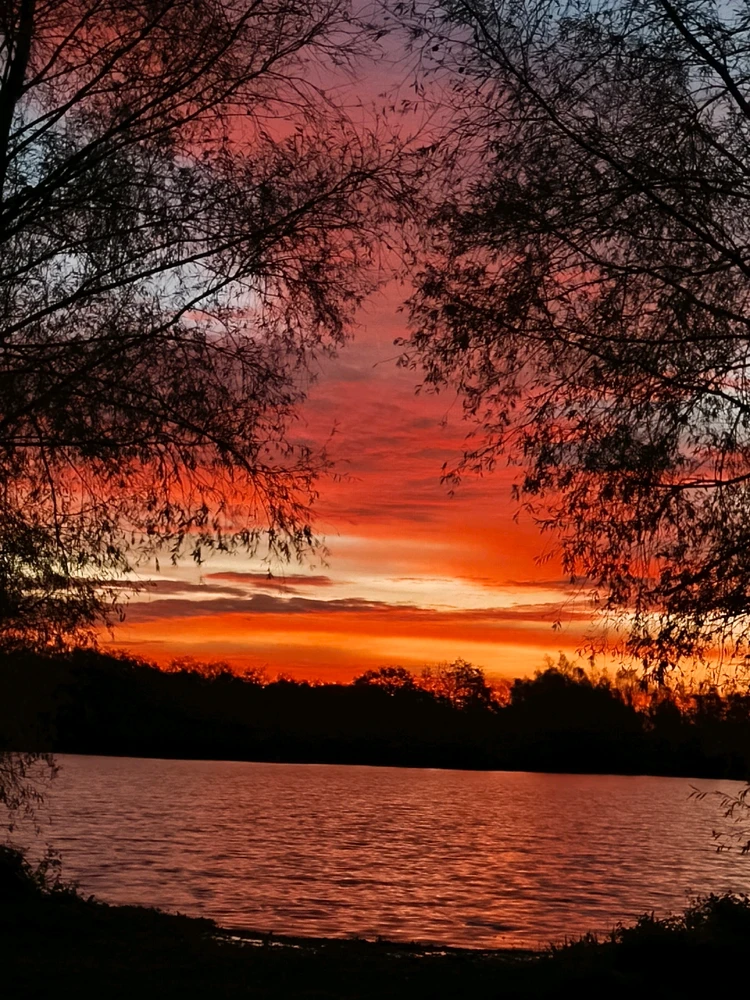 Image ajoutée par Coralie