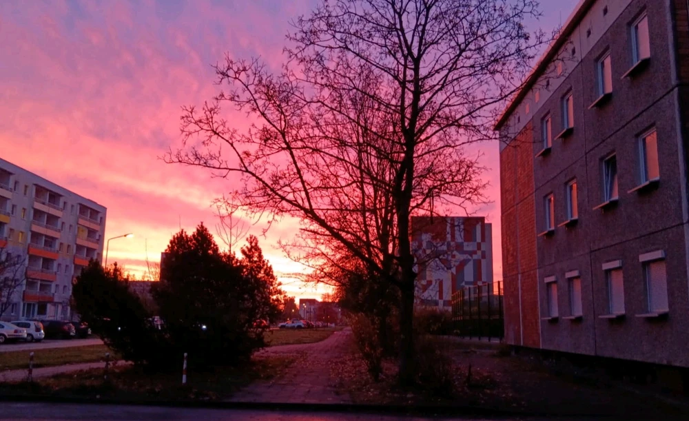 Bild hochgeladen von Natascha