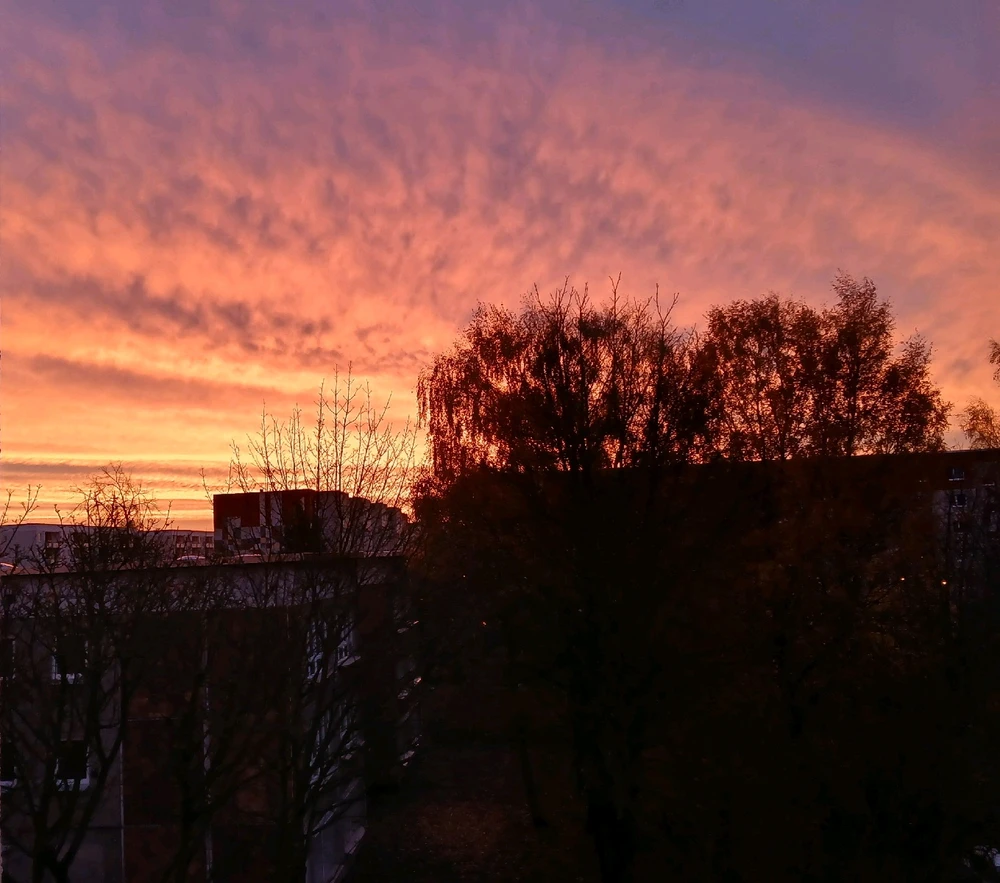Bild hochgeladen von Natascha