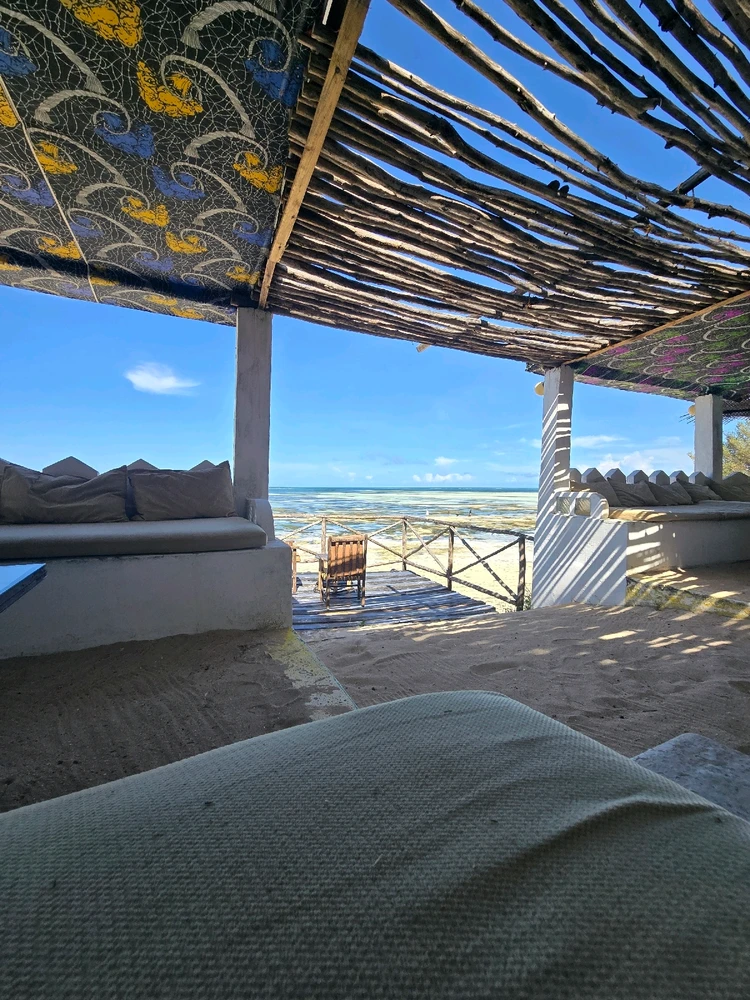 Day in the life of Pav