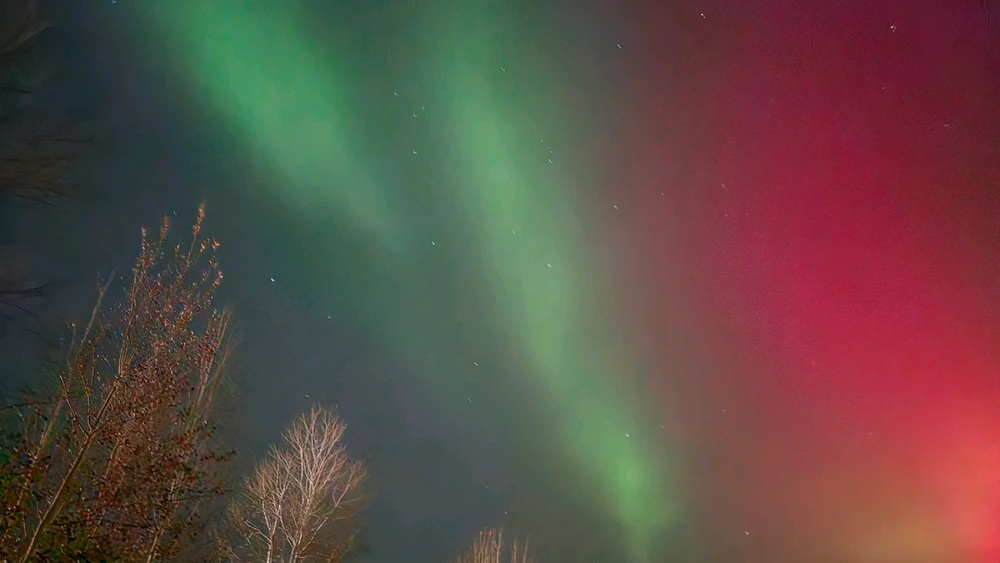 Image uploaded by Gee