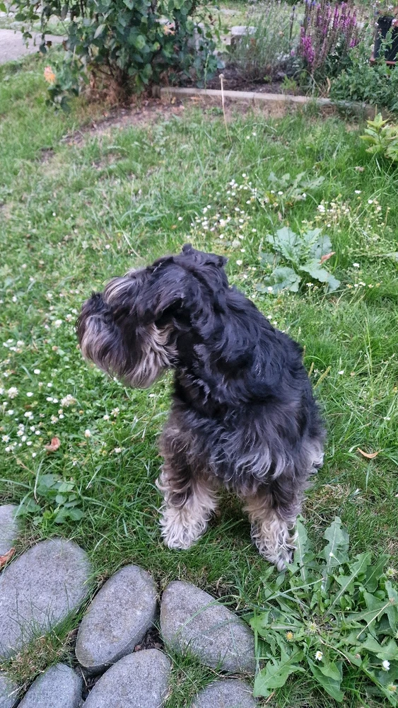 Just wanna share my pets