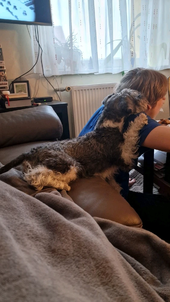 Just wanna share my pets