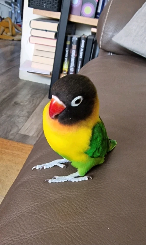 Just wanna share my pets