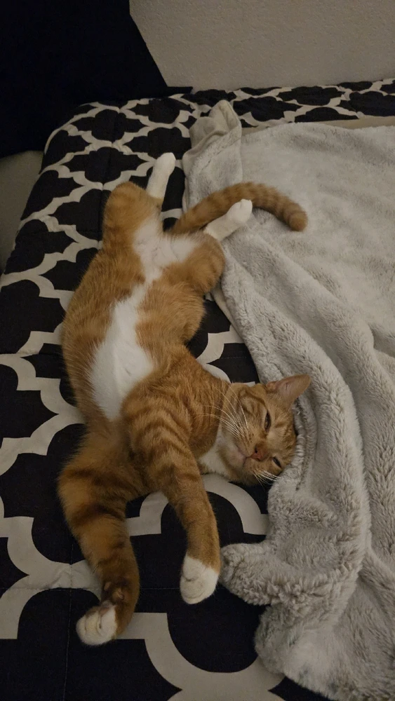 My boy luke π»π»π»