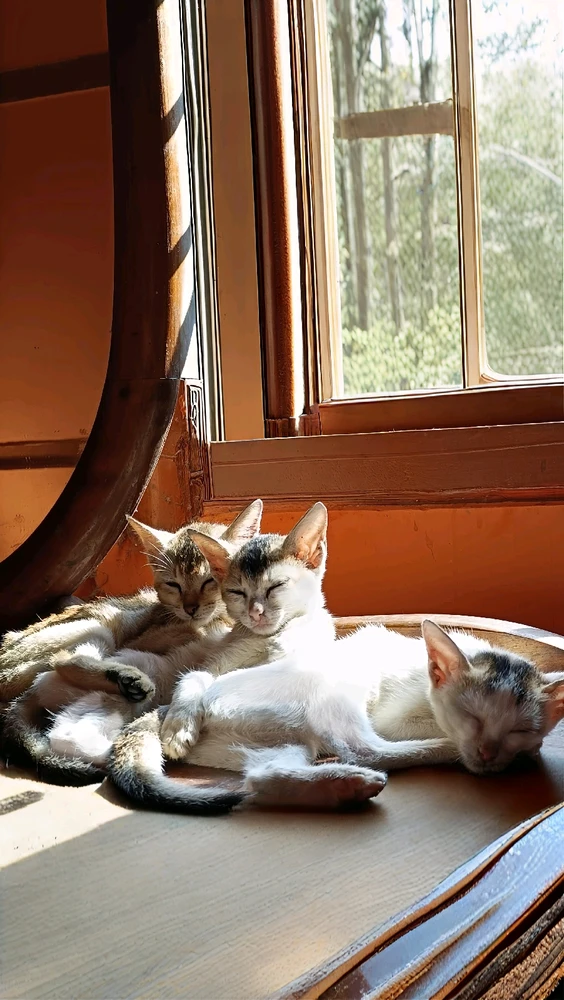 When you're screwed up