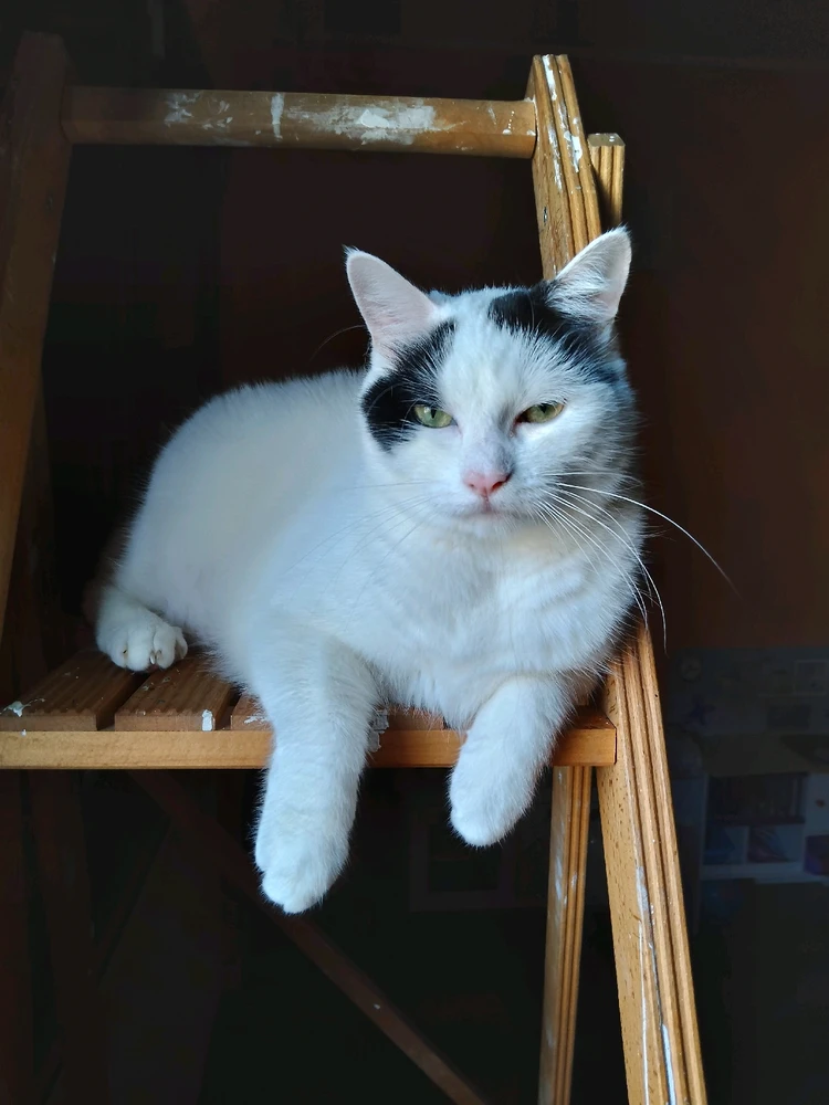 Immagine caricata da LunaStorta