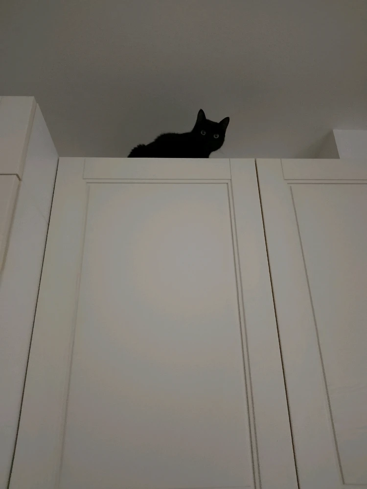 Immagine caricata da LunaStorta