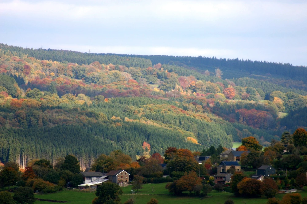 Sharing my photography