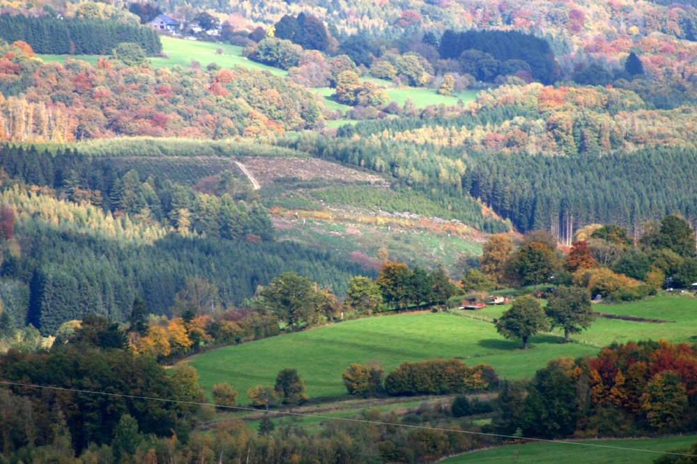 Sharing my photography