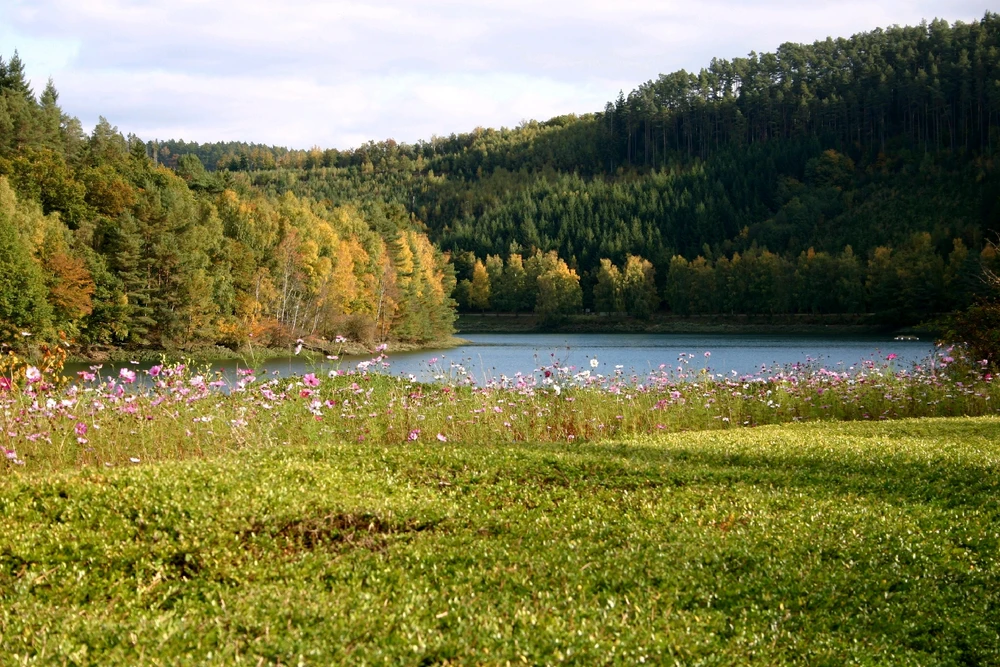 Sharing my photography