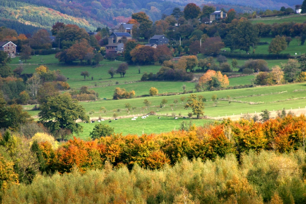 Sharing my photography