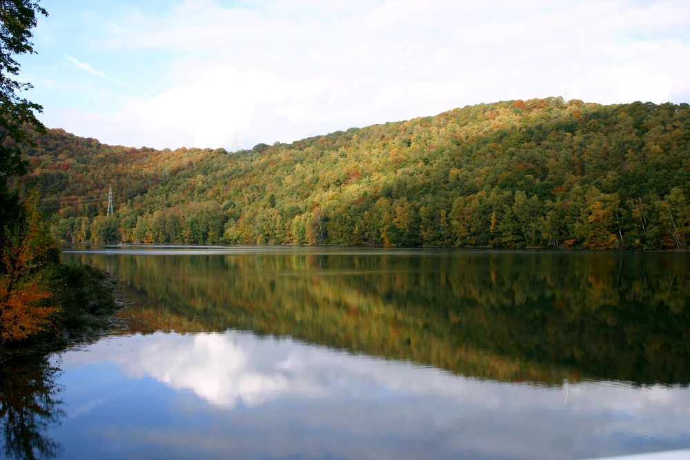 Sharing my photography