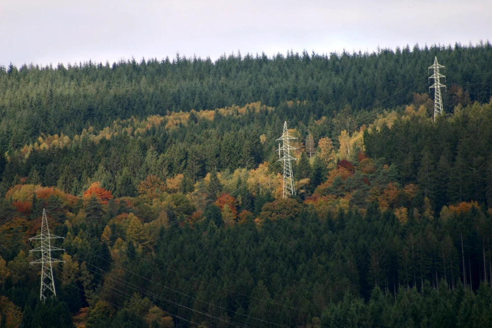 Sharing my photography