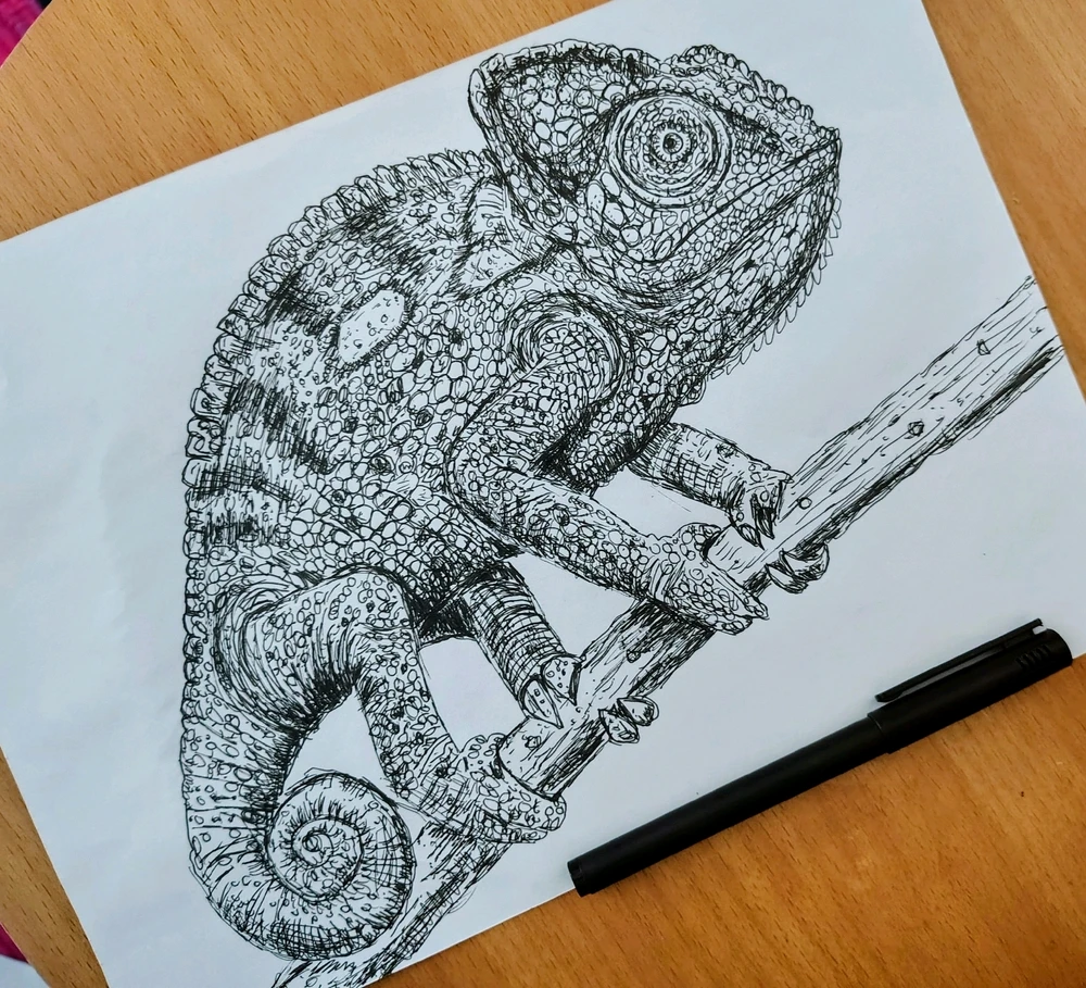 "We are all a little weird and life's a little weird, and when we find someone whose weirdness is compatible with ours, we join up with them and fall in mutual weirdness and call it love."