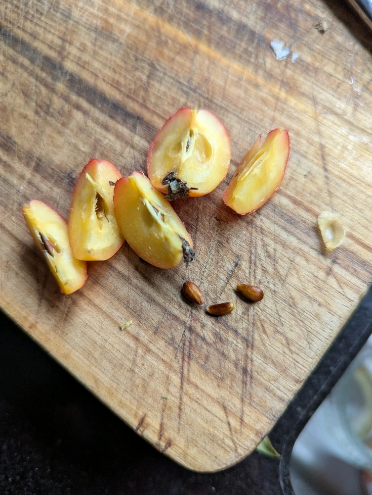 Image uploaded by Rob