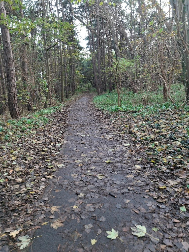 GIF geüpload door Xenia