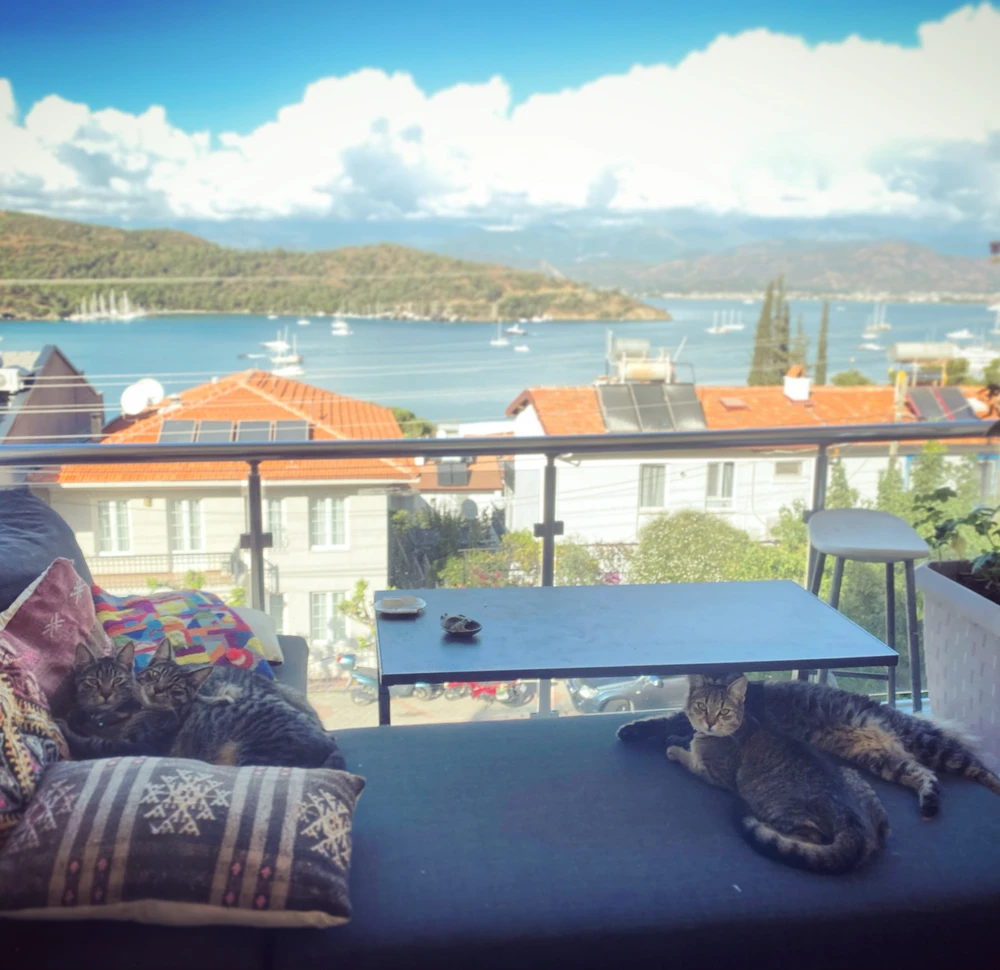 Enjoying the weather..