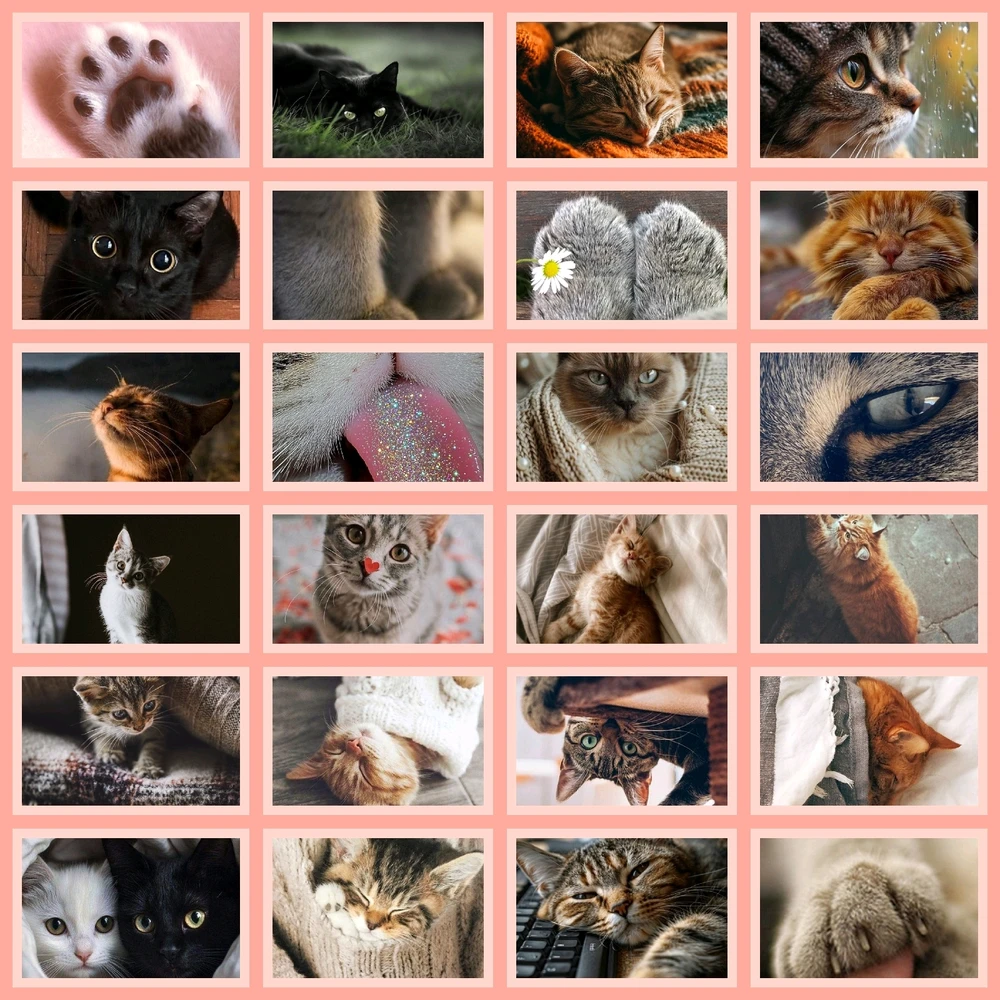 I Have So Many Cat Pictures Saved That I Made a Collage!