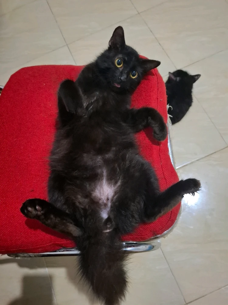 Image uploaded by Marissa