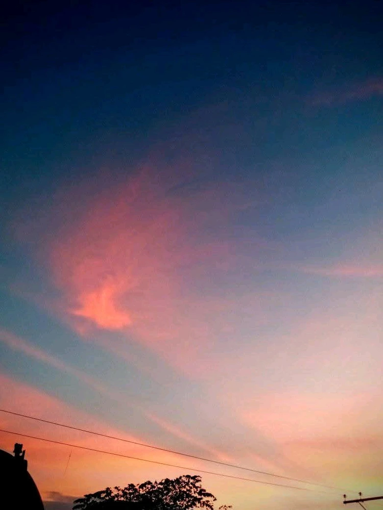 Image uploaded by 💜J💜o💜e💜y💜