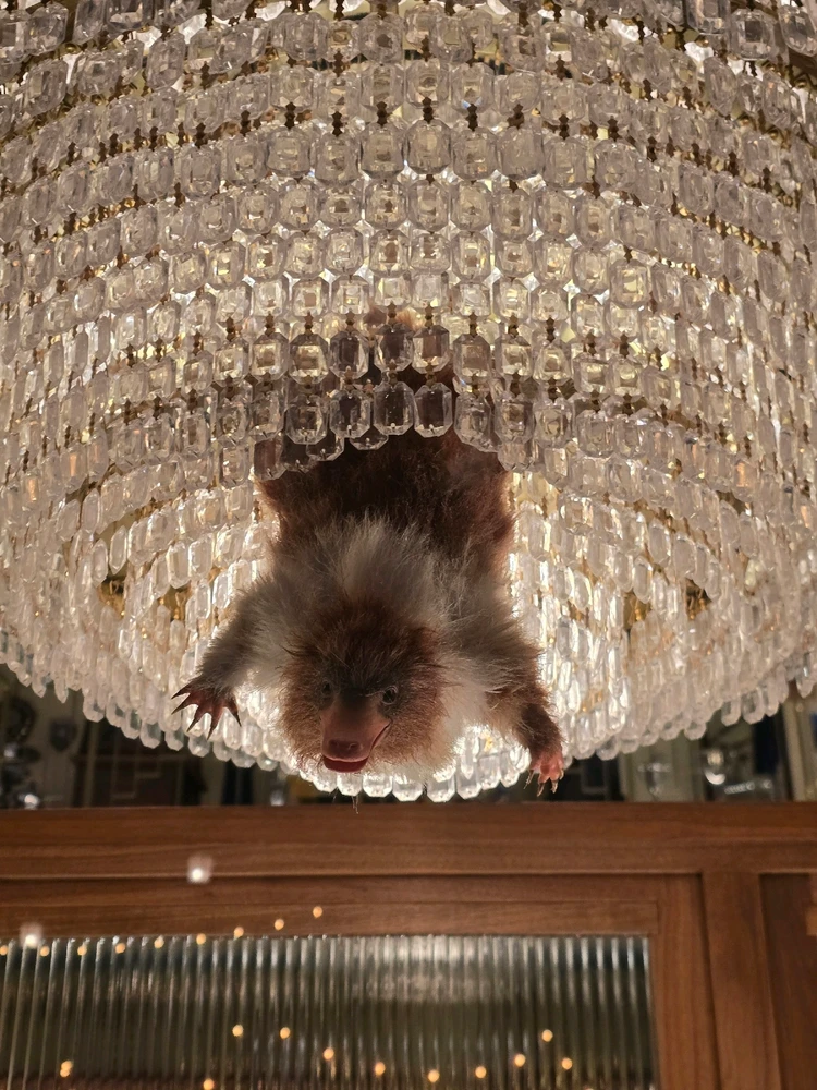 Image uploaded by Craig