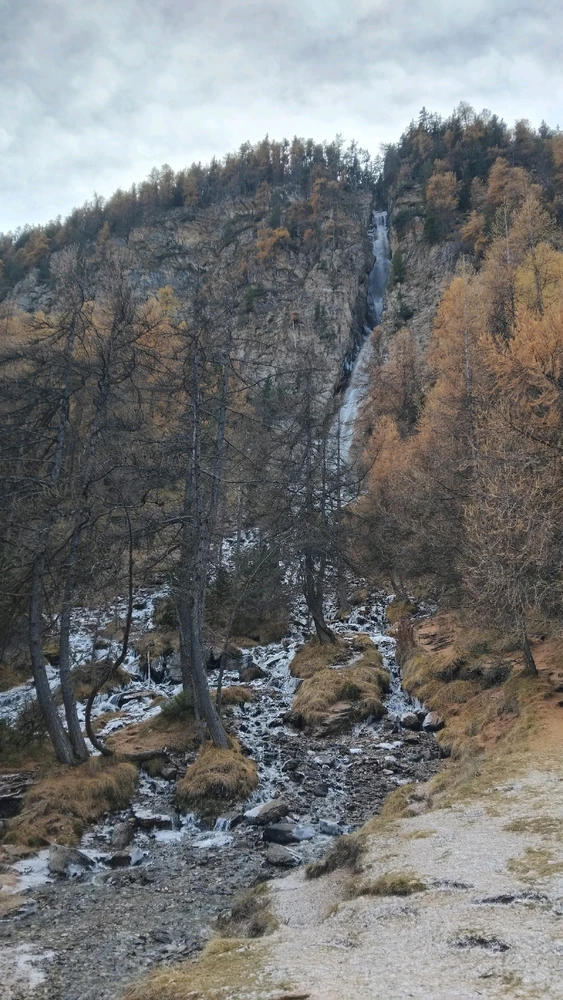 GIF ajouté par Fred