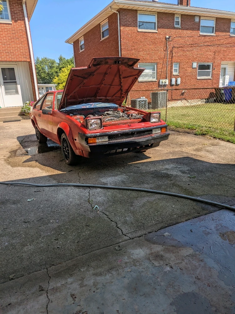 Freshly Self painted.