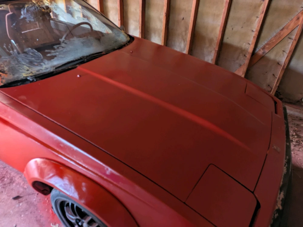 Freshly Self painted.