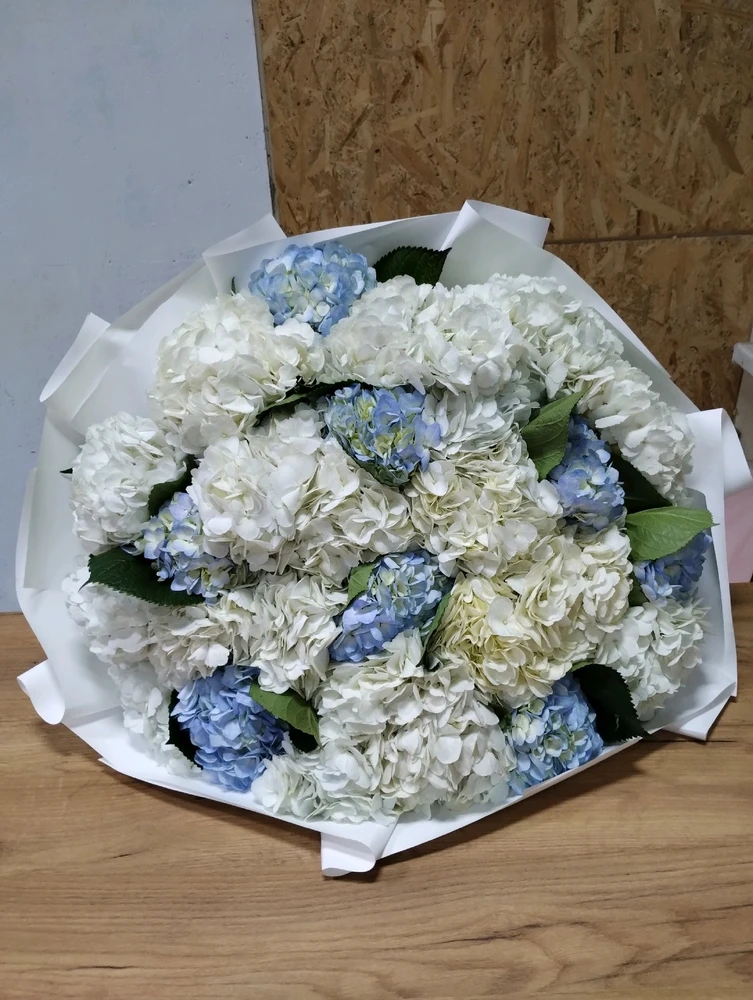 Зображення завантажив Rina Boss